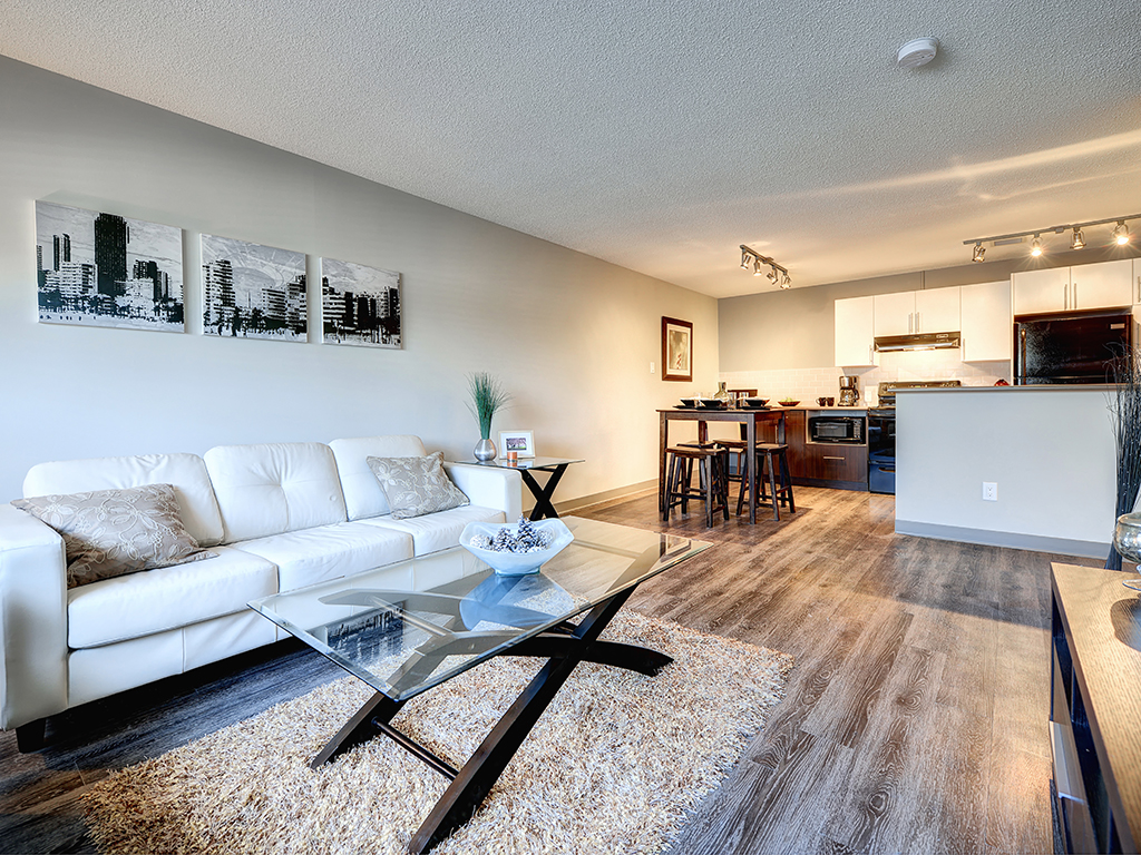 Living and dining area